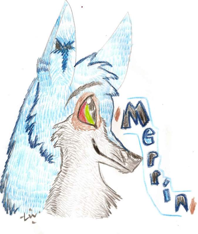 Realistic Merrin