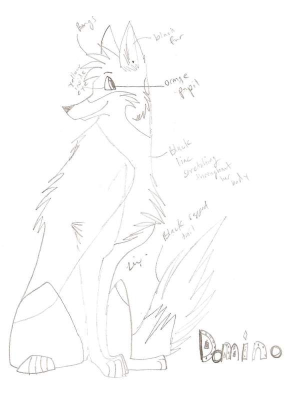 Domino reference sheet
