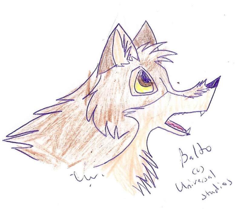 Balto doodle