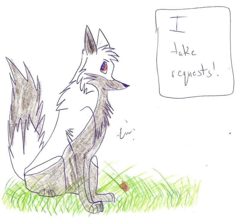 I take requests!