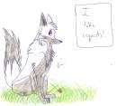 I take requests!