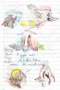The Silver Fang Chronicles