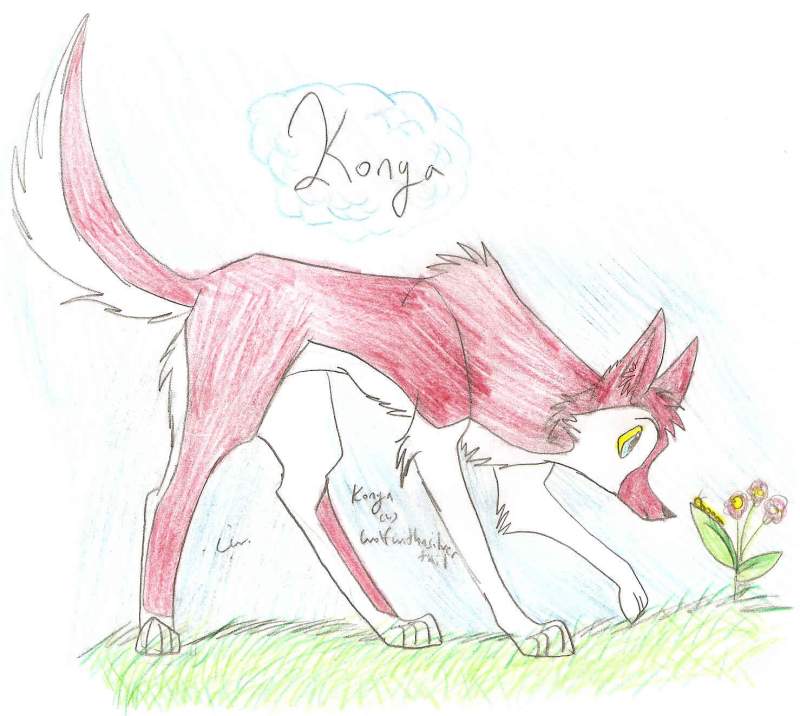 Konya