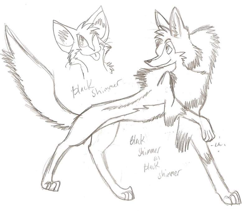 kitty and wolfeh Shimmer