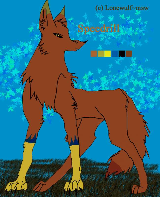 Speedrill character sheet