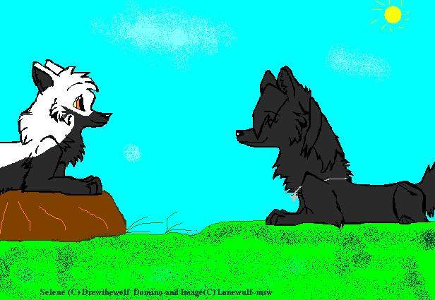Domino and Selene