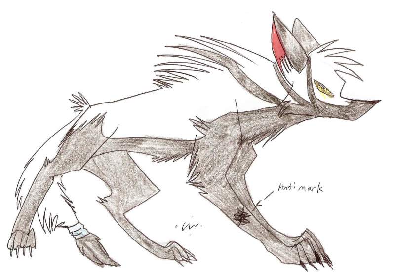 Anti Domino ref