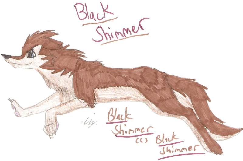 Black Shimmer