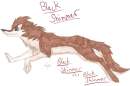 Black Shimmer