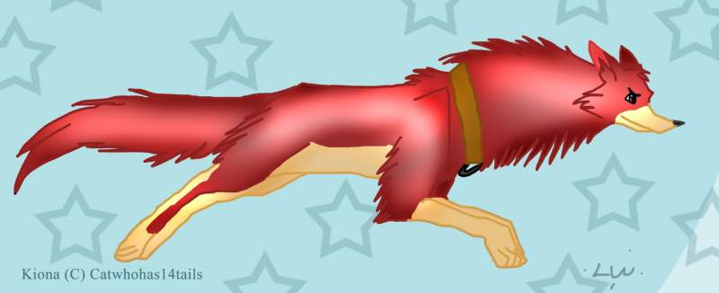 Kiona runs!=D