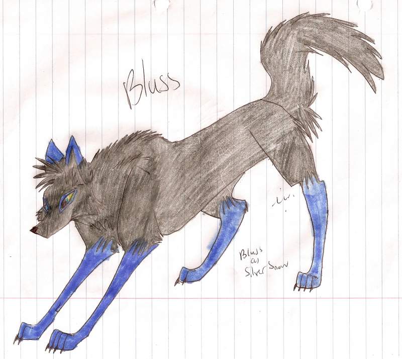 Bluss