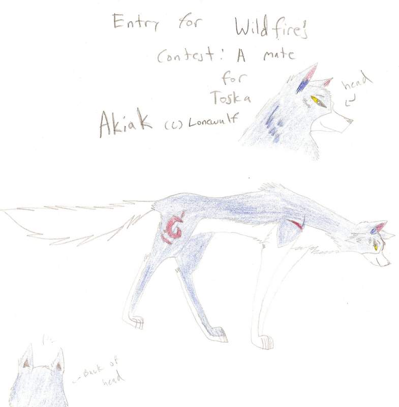 Akiak!!