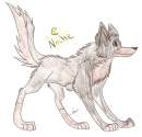 Noche reference sheet