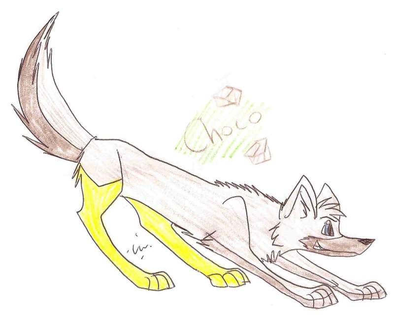Choco reference sheet