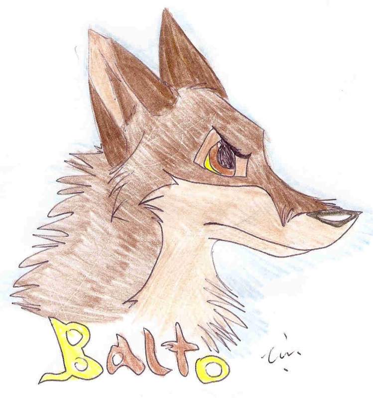 Balto doodle