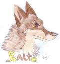 Balto doodle