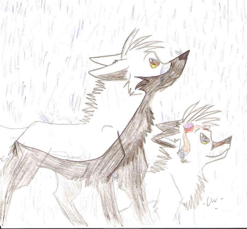 Let the rain that I feel right now come down
