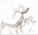 Let the rain that I feel right now come down