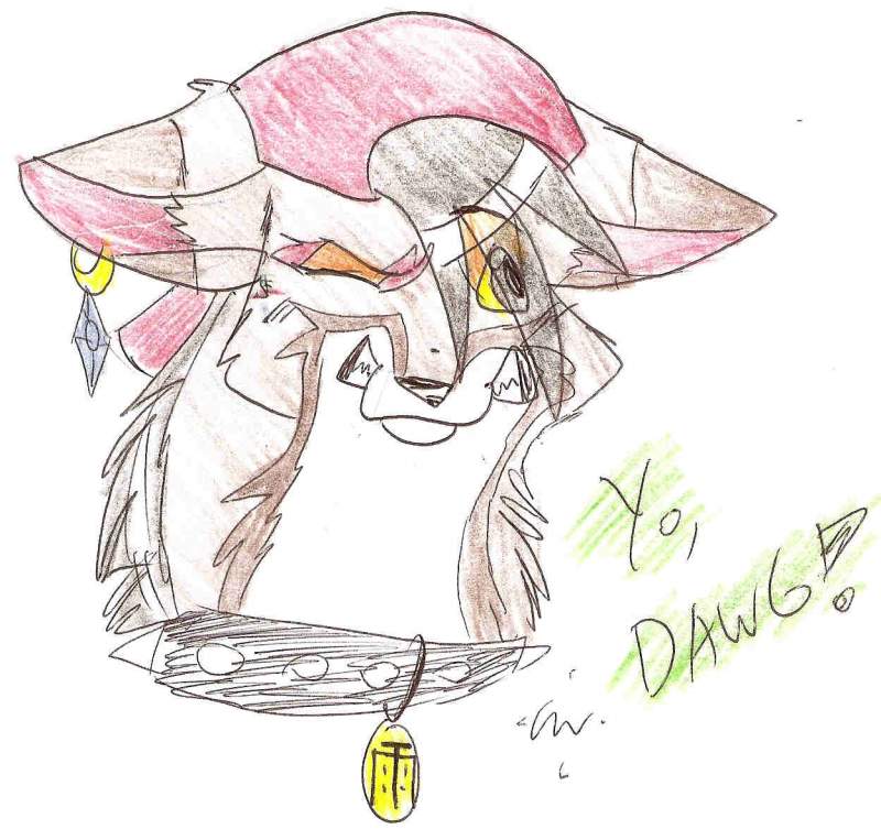 Yo Dawg!