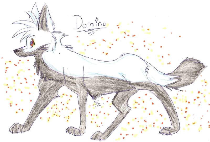 Domino doodle