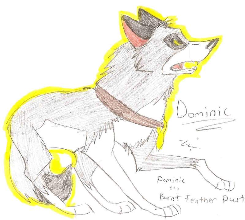 Art Trade with Burnt Feather Dust