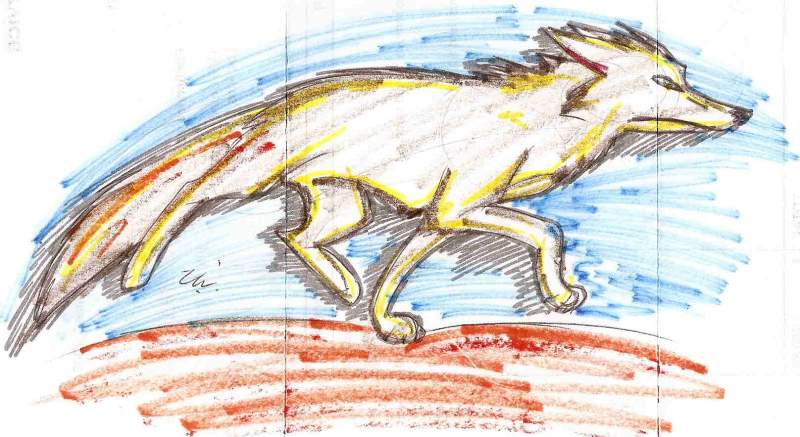 Running wolfie