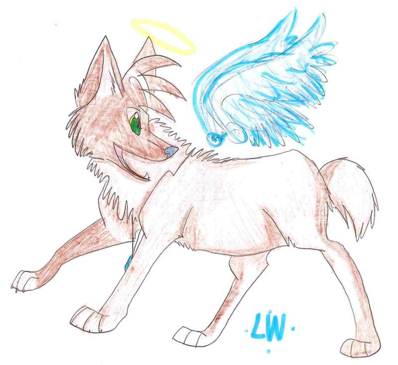 Lone Angel