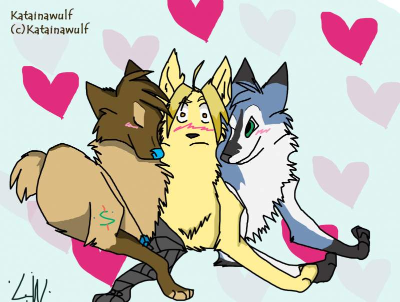 For Kataina XD
