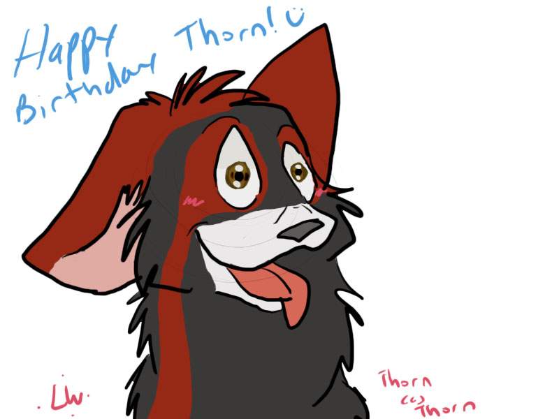 Happy Birthday Thorn!!!:D