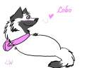 Lobo 1235 Request