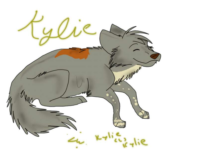 Kylie Trade