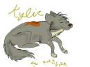 Kylie Trade