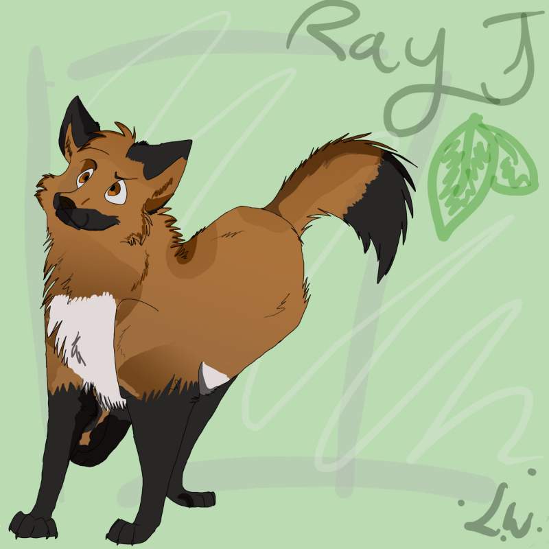 RayJ