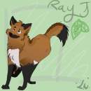 RayJ