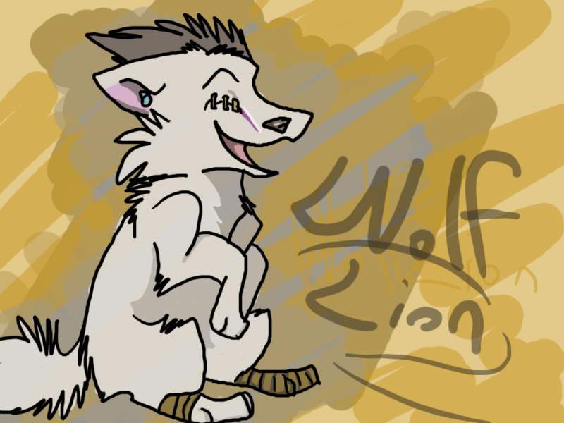 A gift to Deaf wolf 