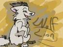 A gift to Deaf wolf 