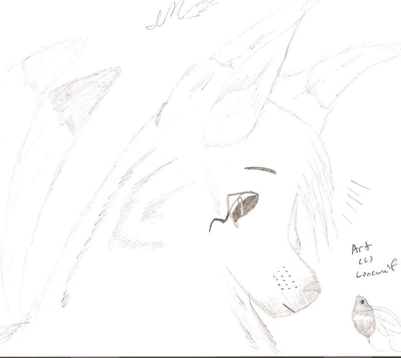 Sarelis Potrait