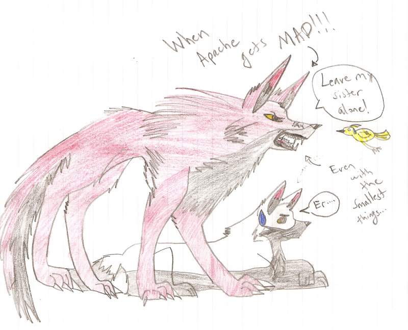 wHEN HE GETS MAD!!o.O