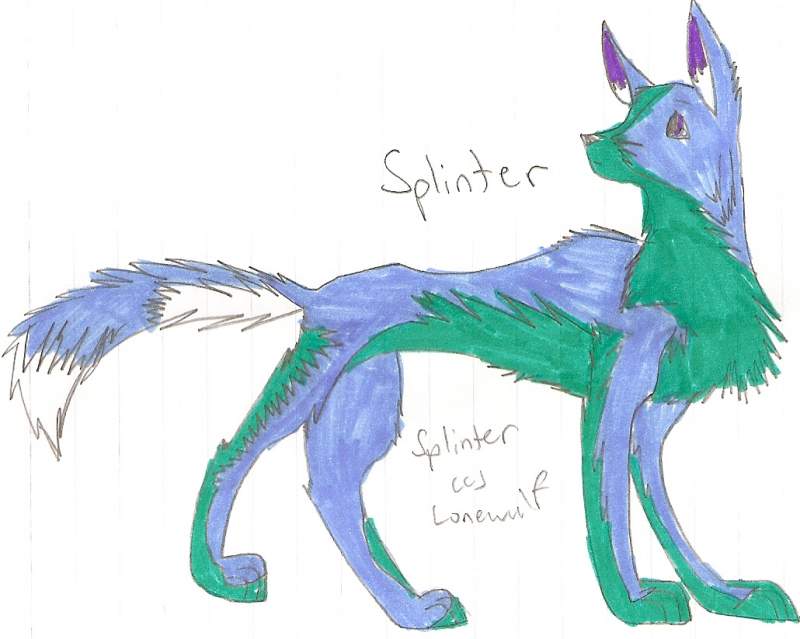 Splinter