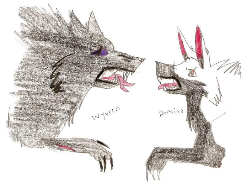 Wyvren and Domino fighting