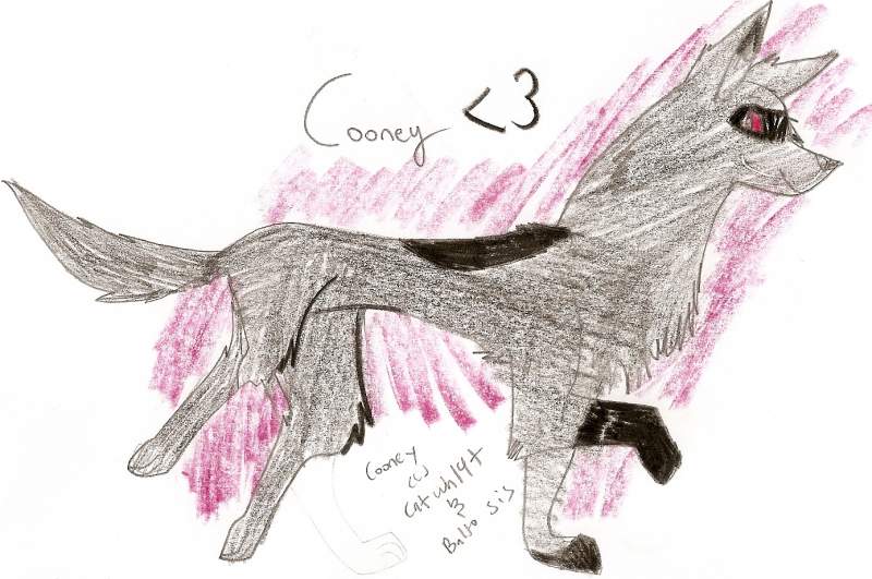 Cooney