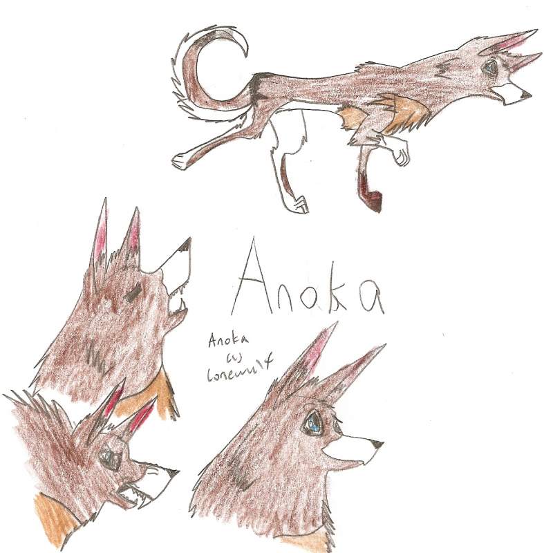 Anoka