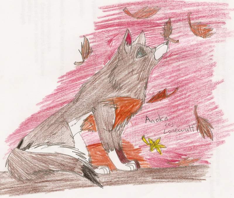 One autumn day..