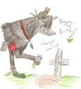 Happy birthday!!!