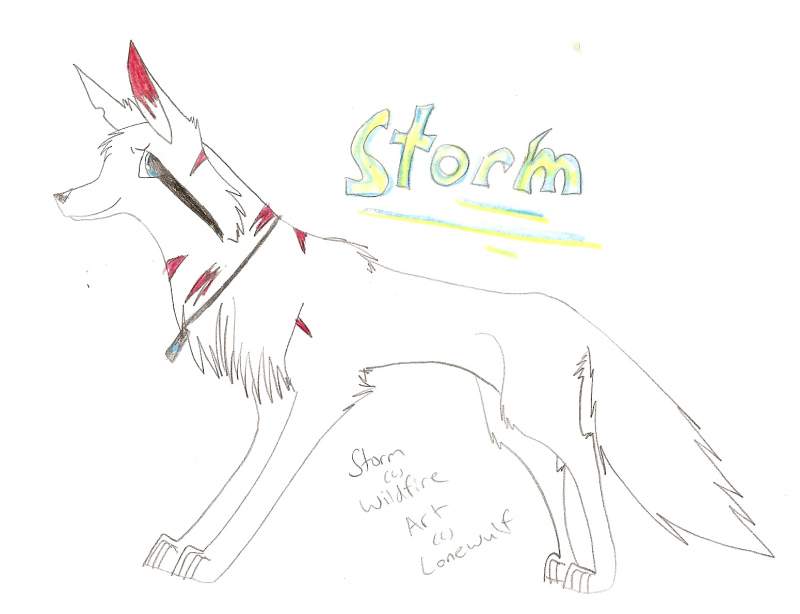 Wildfire's Storm ;D