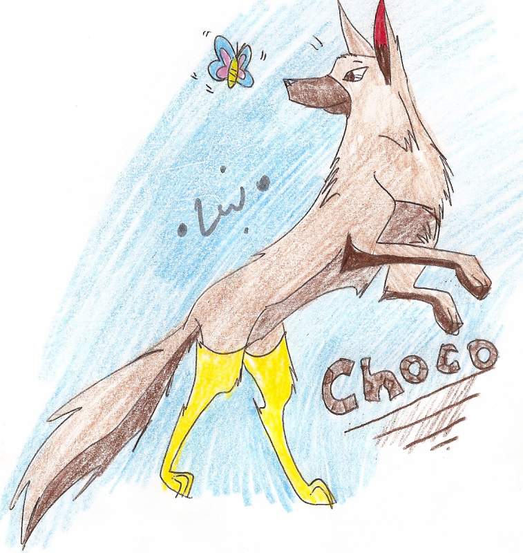 Choco!!!