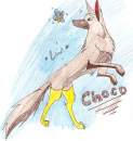 Choco!!!