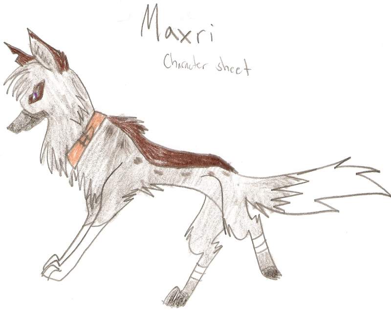 Maxri character sheet
