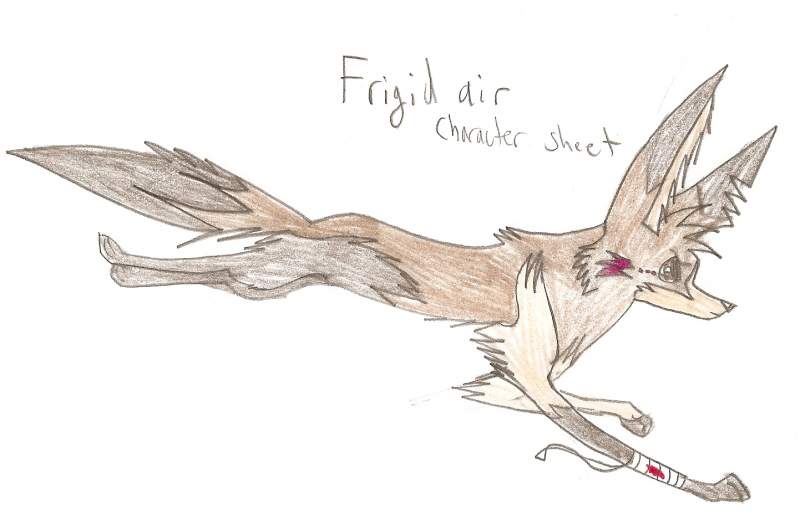 Frigid air character sheet