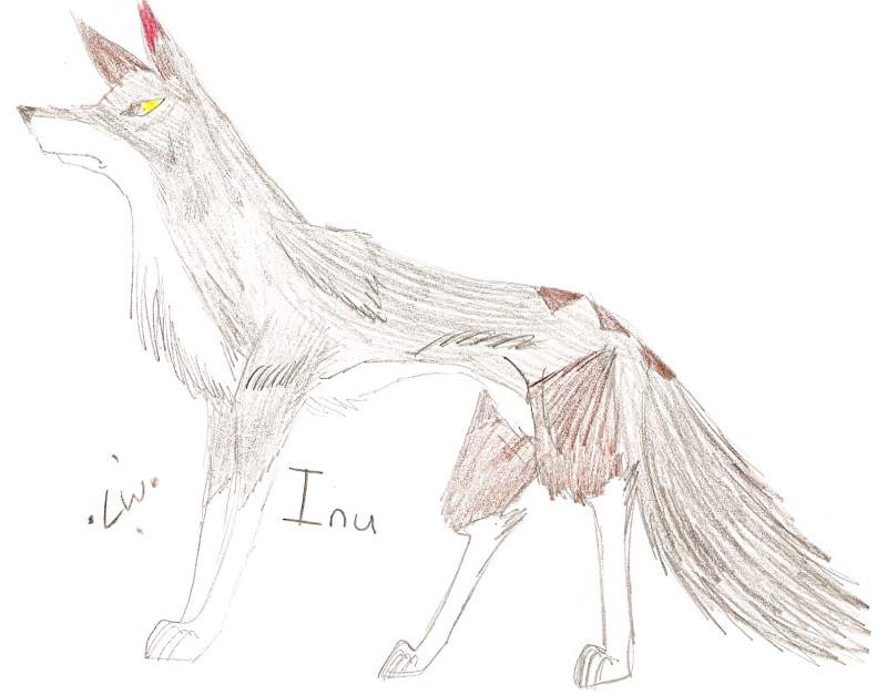Inu character sheet
